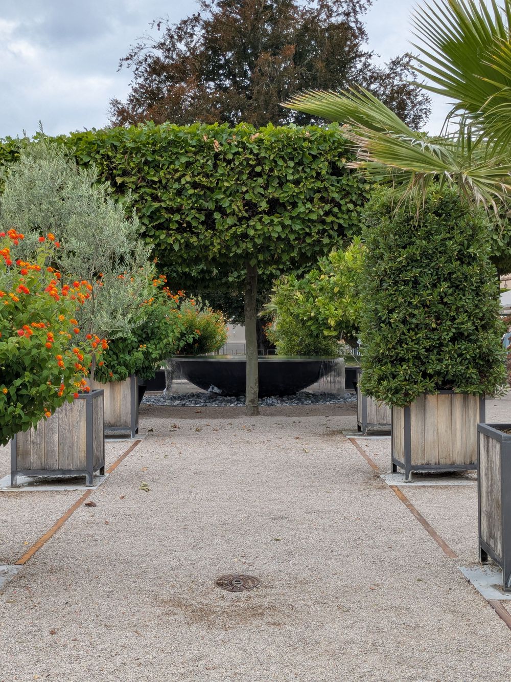 Allée de jardin bordée de jardinières en bois et de plantations fournies.